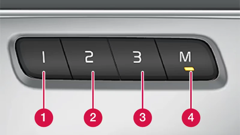 Car button